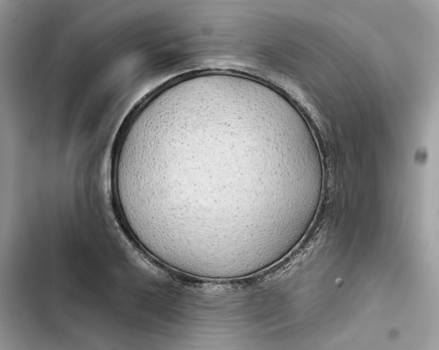 X0000103411032200810031241