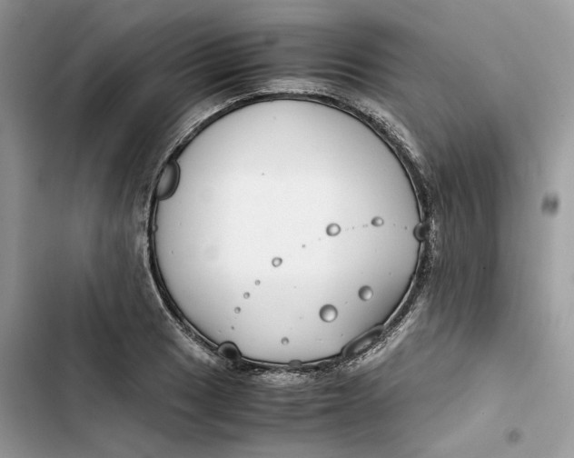 X0000103411033200810031241