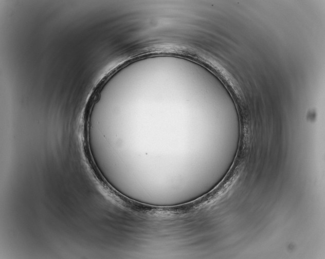 X0000103411034200810031241