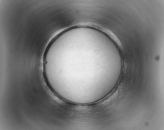 X0000103411036200810031241