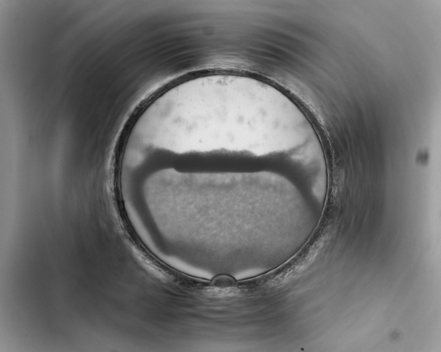 X0000103411037200810031241