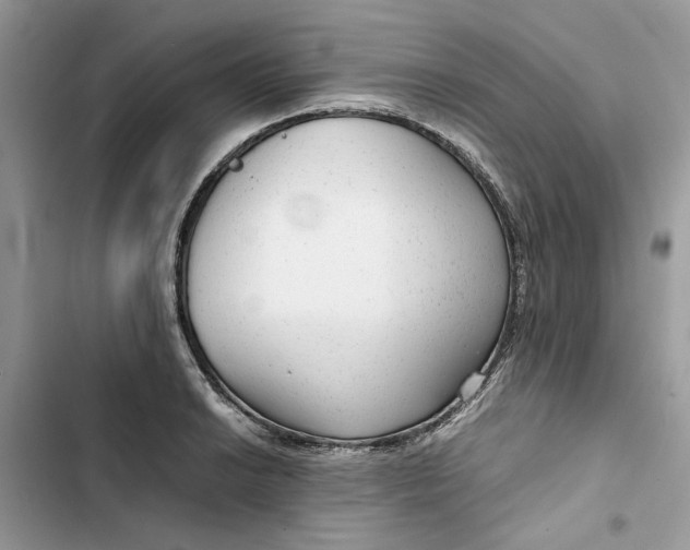 X0000103411038200810031242