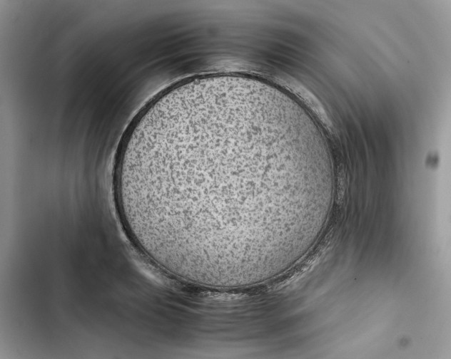 X0000103411039200810031242