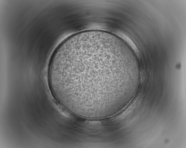 X0000103411043200810031242