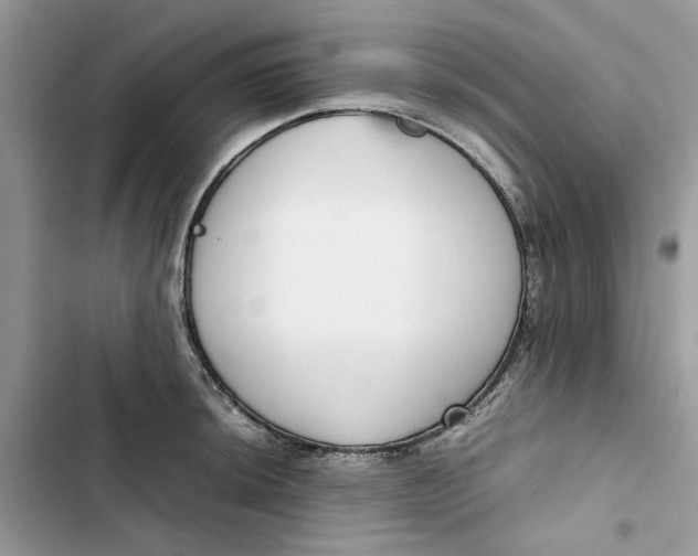 X0000103411044200810031242