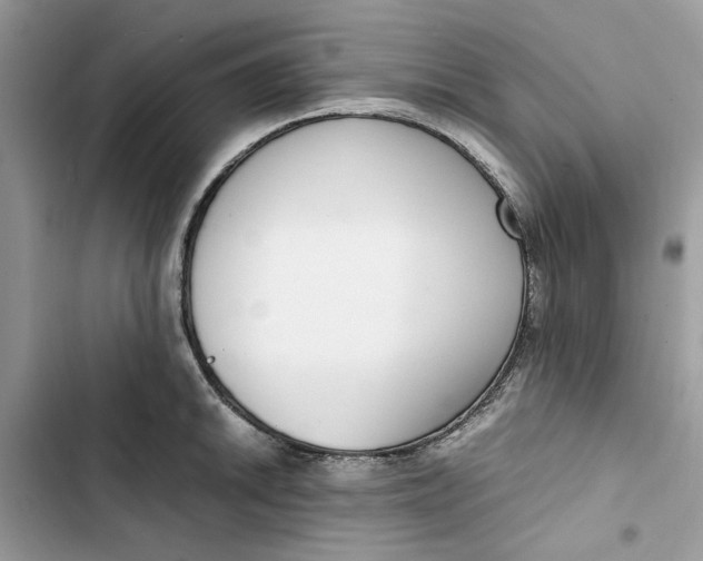 X0000103411046200810031242