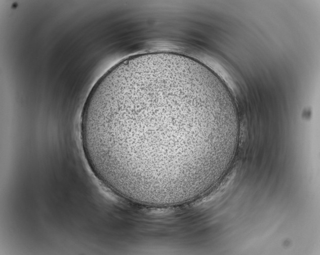 X0000103411047200810031242