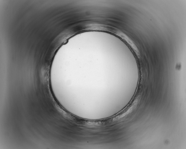 X0000103411049200810031242