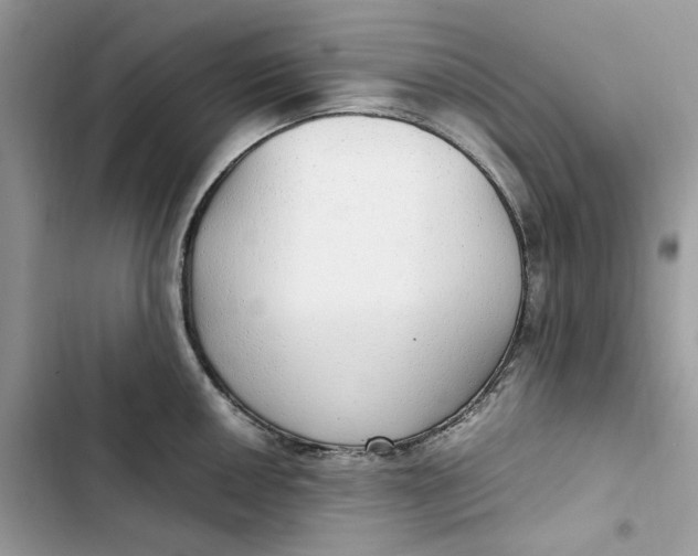 X0000103411050200810031242