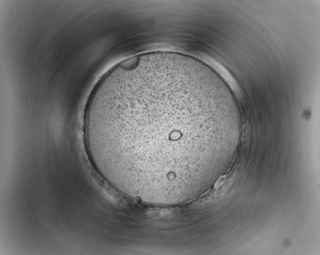 X0000103411051200810031242