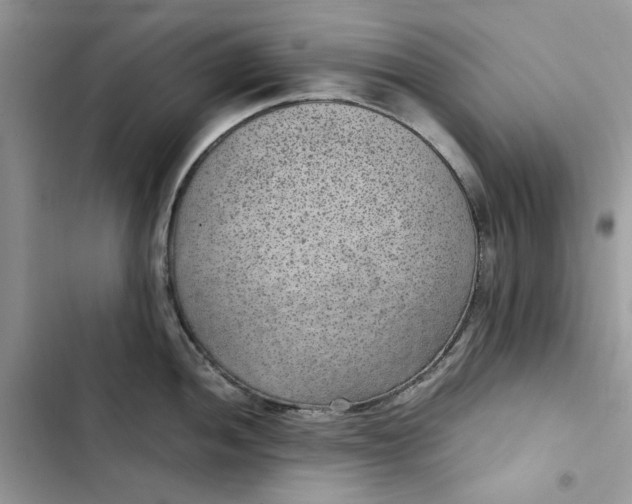 X0000103411052200810031242