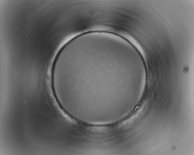 X0000103411053200810031242