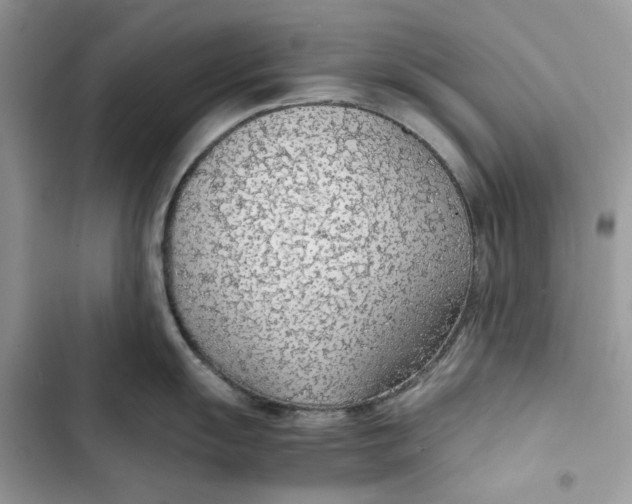 X0000103411055200810031242