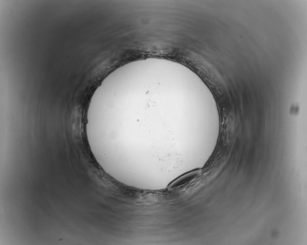 X0000103411058200810031241