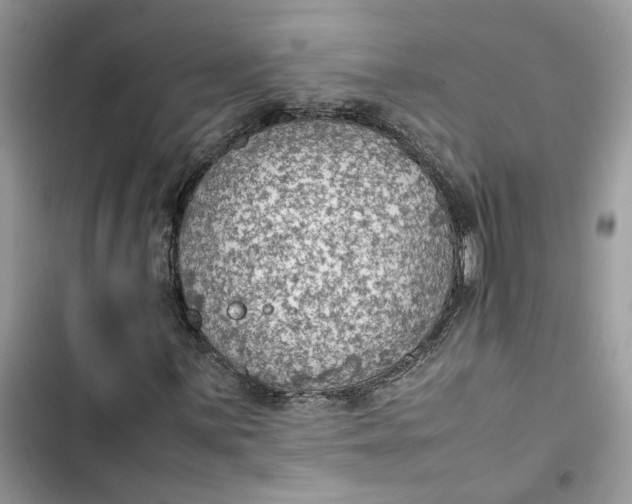 X0000103411059200810031241