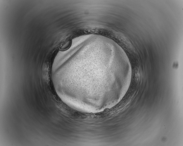 X0000103411060200810031241