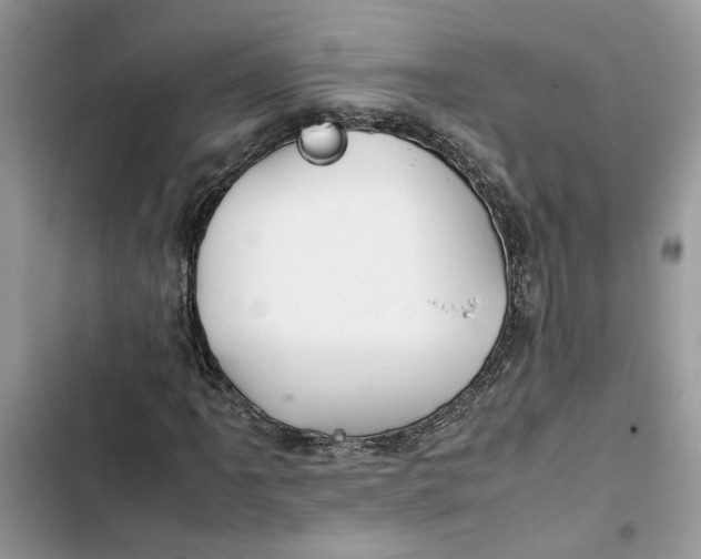 X0000103411061200810031241