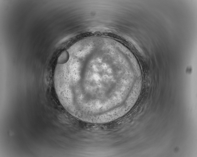 X0000103411063200810031241