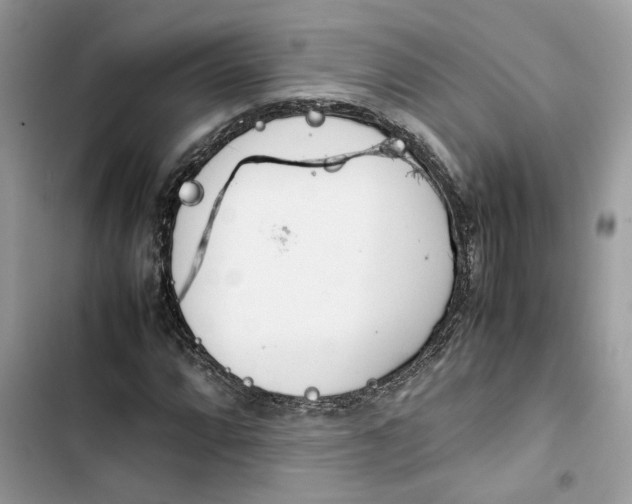 X0000103411064200810031241