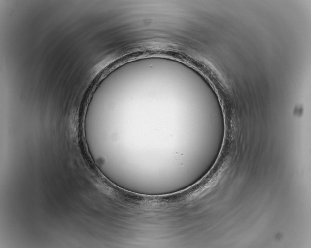 X0000103411065200810031241