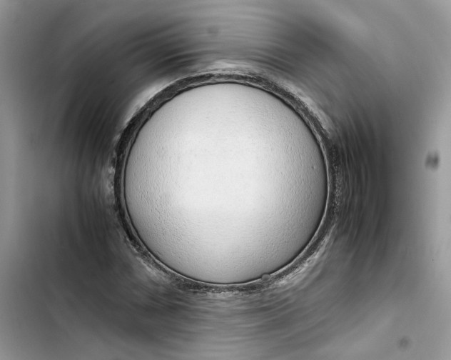 X0000103411066200810031241