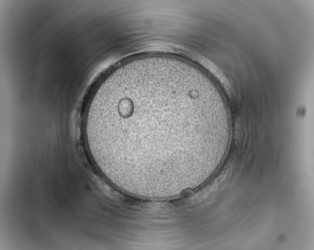 X0000103411067200810031241