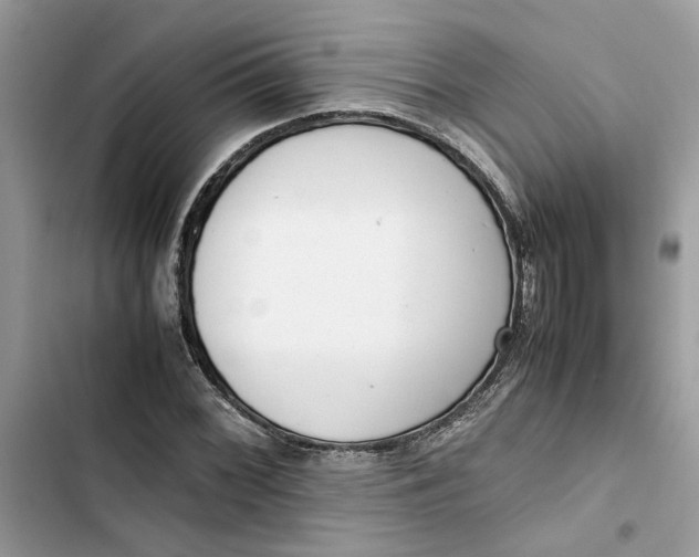 X0000103411068200810031241