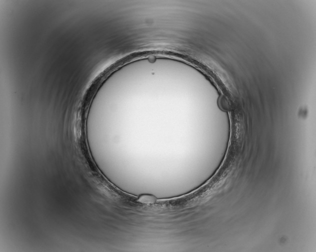 X0000103411069200810031241