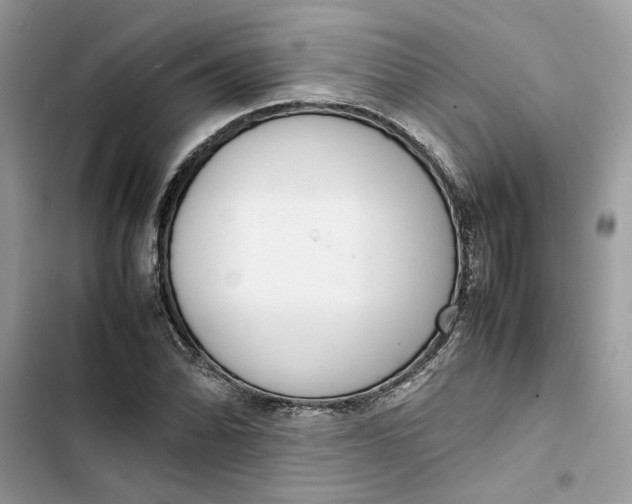 X0000103411070200810031241