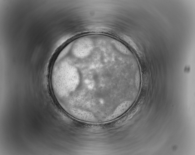 X0000103411071200810031241