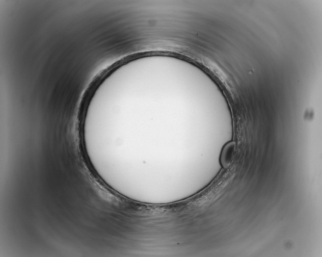 X0000103411072200810031241