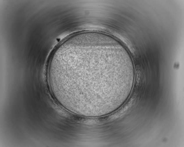 X0000103411074200810031241