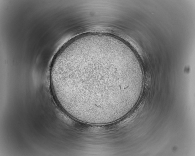 X0000103411075200810031241