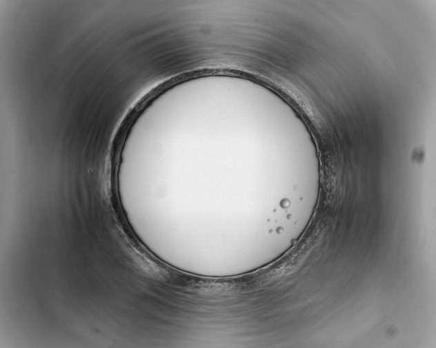 X0000103411076200810031241