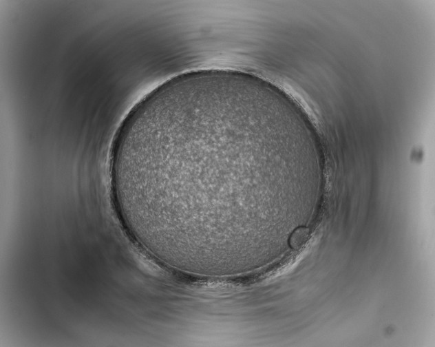 X0000103411077200810031241