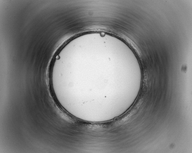 X0000103411082200810031241