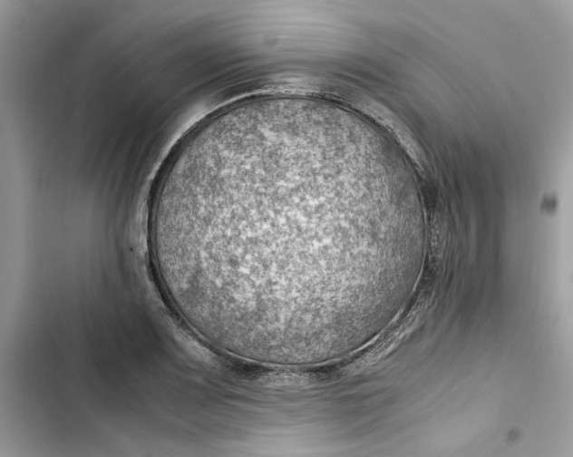 X0000103411083200810031241