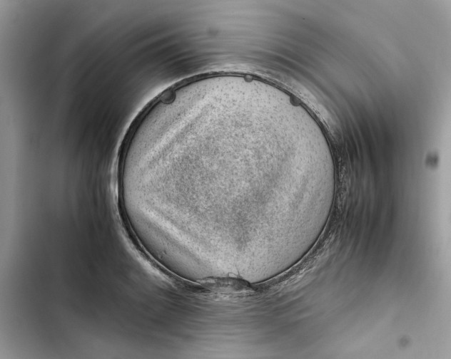 X0000103411084200810031241