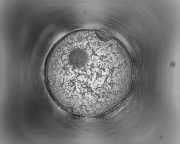 X0000103411087200810031241