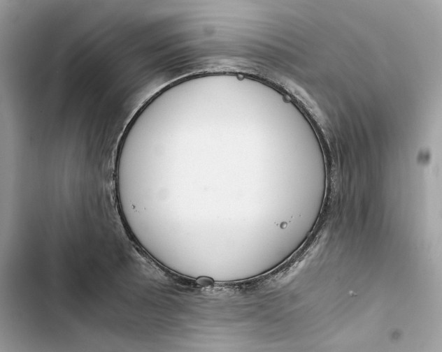 X0000103411089200810031240