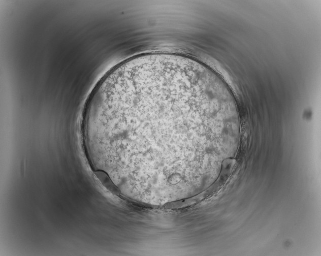 X0000103411091200810031240