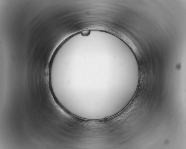 X0000103411092200810031240