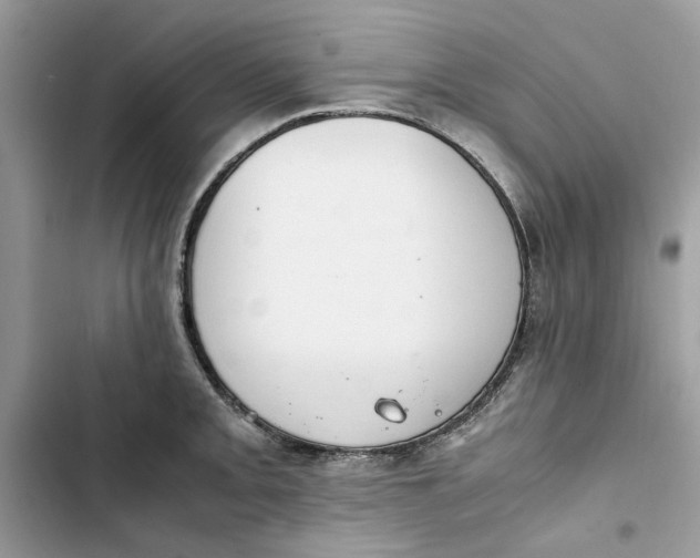 X0000103411093200810031240