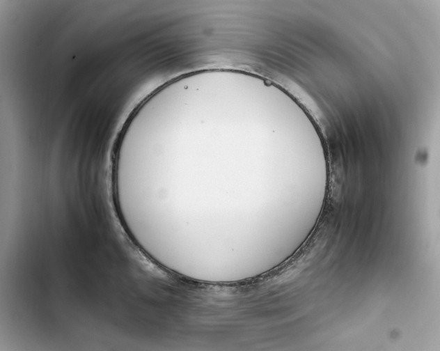 X0000103411096200810031240