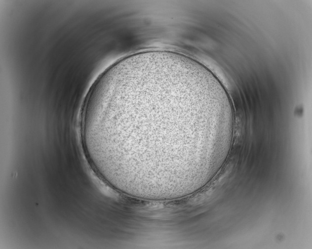 X0000103411098200810031240