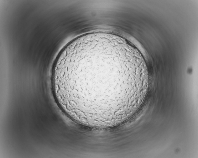 X0000103411099200810031240