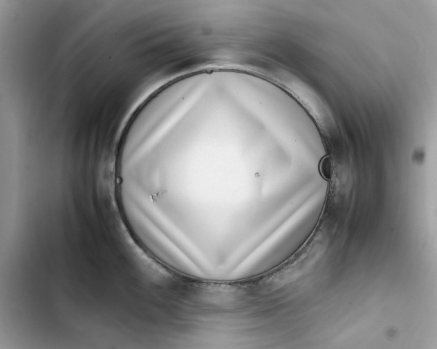 X0000103411100200810031240