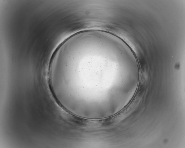 X0000103411101200810031240