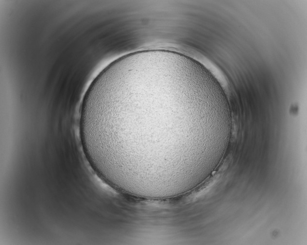 X0000103411102200810031240