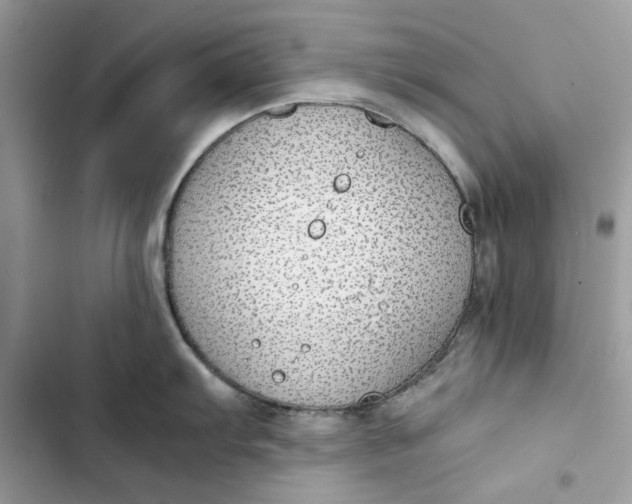 X0000103411103200810031240